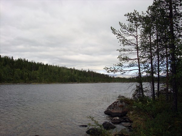 Лесное озеро на севере